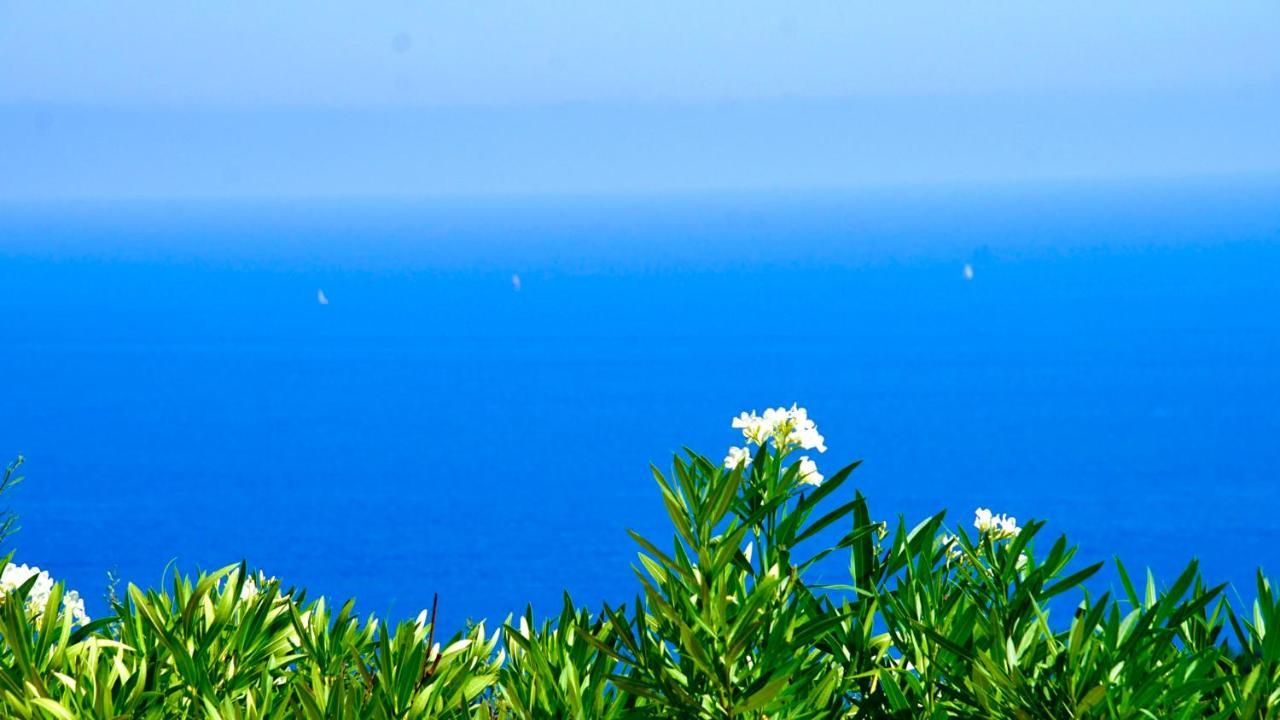 Villa Pétale de Rose Cavalaire-sur-Mer Esterno foto